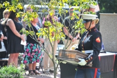 Last-Salute-military-funeral-honor-guard-4862