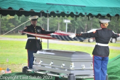 DANIEL-G.-HILLARD-U.S.-ARMY-LAST-SALUTE-8-4-23-80