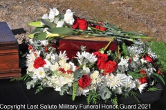 Last Salute Military Funeral Honor Guard