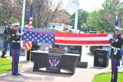 Last-Salute-military-funeral-honor-guard-7929