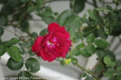 Last Salute Military Funeral Honor Guard Southern NJ