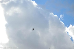 HARRY-R.-FRUSCIO-USAF-LAST-SALUTE-1-13-24-13