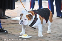 Last-Salute-military-funeral-honor-guard-210
