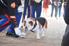Last-Salute-military-funeral-honor-guard-212