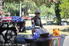 Last-Salute-military-funeral-honor-guard-8042