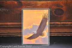 Last-Salute-military-funeral-honor-guard-4