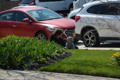 Last-Salute-military-funeral-guard-5991