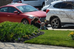 Last-Salute-military-funeral-guard-5992
