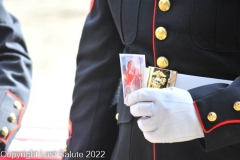 Last-Salute-military-funeral-honor-guard-41