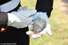 LEROY-W.-BROSCHARD-U.S.-NAVY-LAST-SALUTE-7-17-24-9