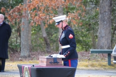 MELVILLE-LUNDIN-U.S.-ARMY-LAST-SALUTE-2-15-24-76