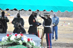Last Salute Military Funeral Honor Guard