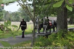 Last Salute Military Funeral Honor Guard
