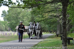Last Salute Military Funeral Honor Guard