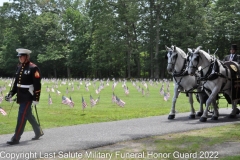 Last Salute Military Funeral Honor Guard