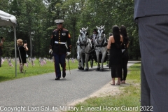 Last Salute Military Funeral Honor Guard