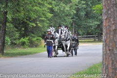 Last Salute Military Funeral Honor Guard