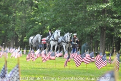 Last Salute Military Funeral Honor Guard