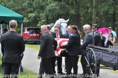 Last Salute Military Funeral Honor Guard