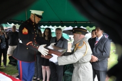 BLACK-FUNERAL-LAST-SALUTE-3