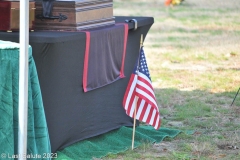 RICHARD-BRADDOCK-U.S.-ARMY-LAST-SALUTE-11-5-23-163