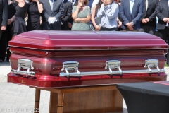 LA39DE1