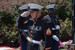Last-Salute-military-funeral-guard-7385