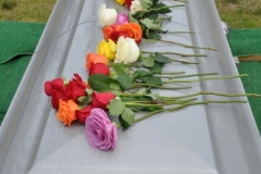 Last-Salute-military-funeral-guard-144