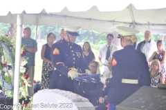 WILBUR-HOCH-U.S.-ARMY-LAST-SALUTE-7-19-23-118