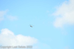 Last-Salute-military-funeral-honor-guard-7267