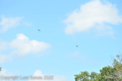 Last-Salute-military-funeral-honor-guard-7268