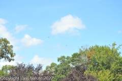 Last-Salute-military-funeral-honor-guard-7269
