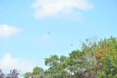 Last-Salute-military-funeral-honor-guard-7271